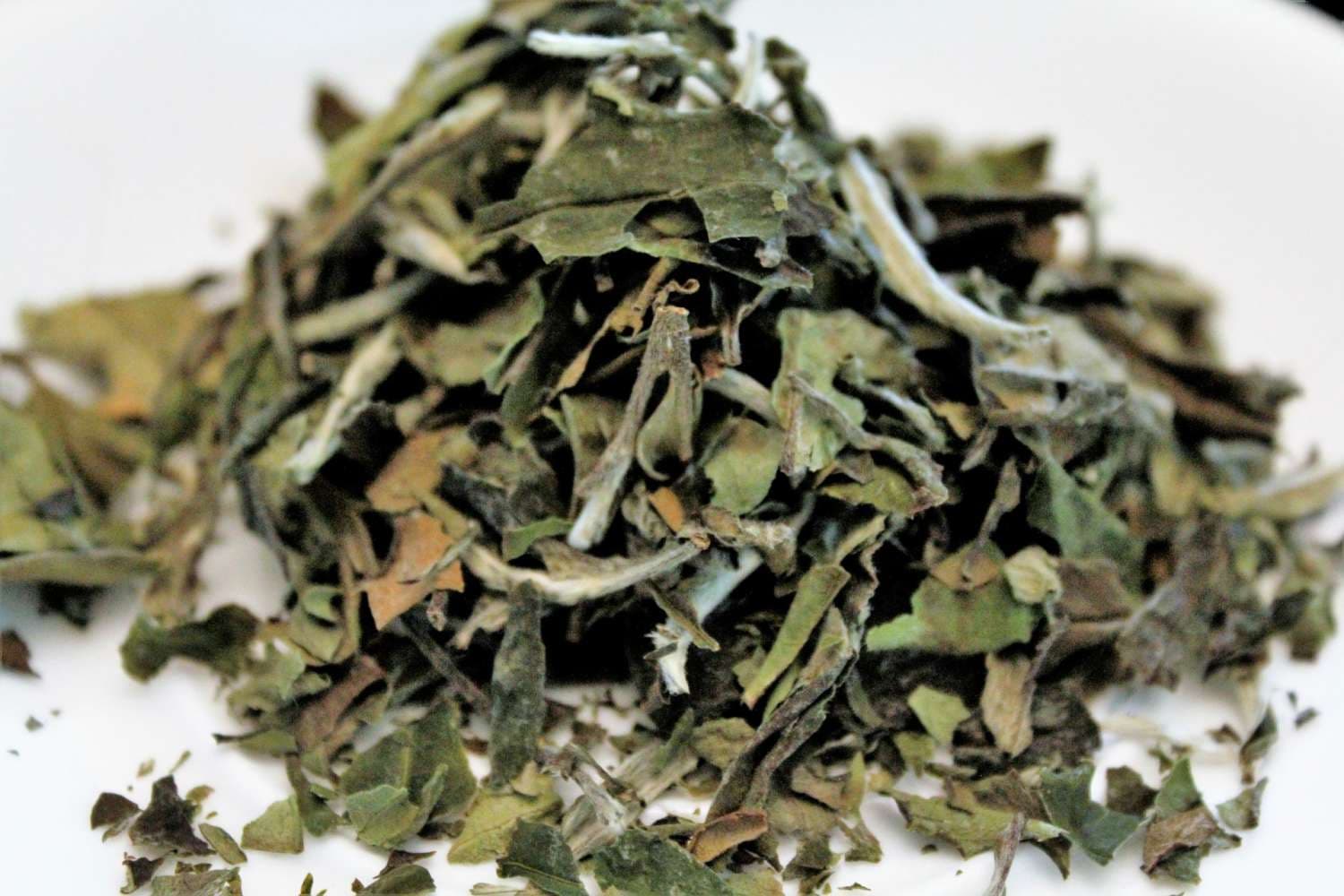 Grüner Tee